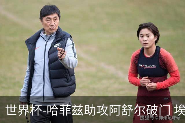 世界杯-哈菲兹助攻阿舒尔破门 埃及半场暂1-0澳大利亚